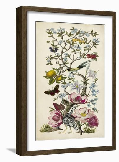 Chinoiserie Natura II-Naomi McCavitt-Framed Premium Giclee Print