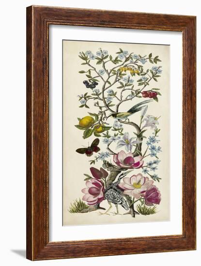 Chinoiserie Natura II-Naomi McCavitt-Framed Premium Giclee Print