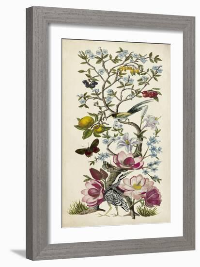 Chinoiserie Natura II-Naomi McCavitt-Framed Art Print