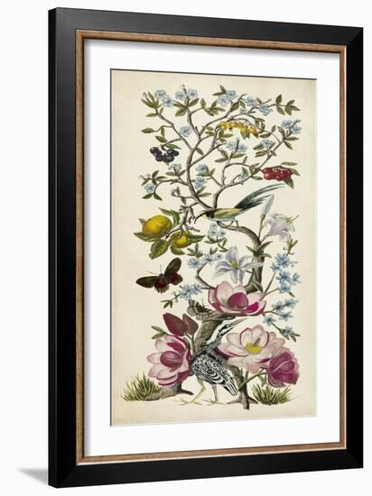 Chinoiserie Natura II-Naomi McCavitt-Framed Art Print