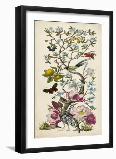 Chinoiserie Natura II-Naomi McCavitt-Framed Art Print