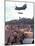 Chinook Helicopter-Associated Press-Mounted Photographic Print