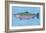 Chinook Salmon-John Golden-Framed Art Print