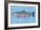 Chinook Salmon-John Golden-Framed Art Print