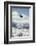 Chinook Search and Rescue Helicopter, Sequoia and Kings Canyon, California, USA-Gerry Reynolds-Framed Photographic Print