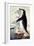 Chinstrap or Bearded Penguin, Pygoscelis Antarctica-George Forster-Framed Giclee Print