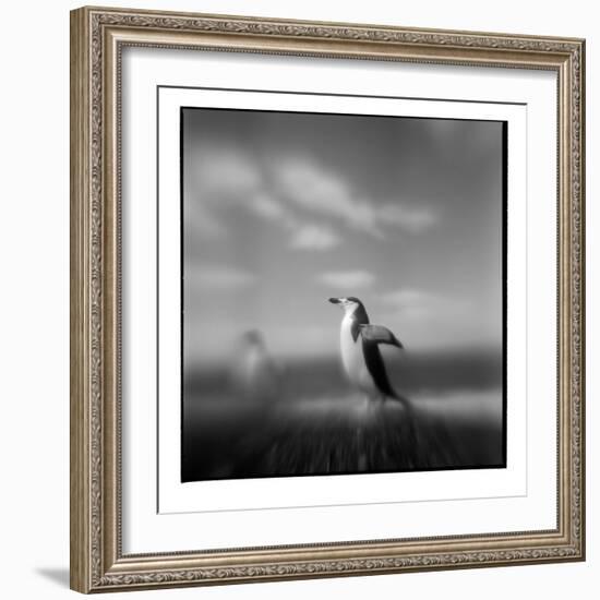 Chinstrap Penguin, Antarctica-Paul Souders-Framed Photographic Print