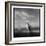 Chinstrap Penguin, Antarctica-Paul Souders-Framed Photographic Print