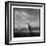 Chinstrap Penguin, Antarctica-Paul Souders-Framed Photographic Print