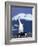 Chinstrap Penguin, Ecstatic Display, South Sandwich Is-Peter Oxford-Framed Photographic Print