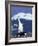 Chinstrap Penguin, Ecstatic Display, South Sandwich Is-Peter Oxford-Framed Photographic Print