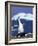 Chinstrap Penguin, Ecstatic Display, South Sandwich Is-Peter Oxford-Framed Photographic Print