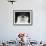 Chinstrap Penguin Head Portrait, Antarctica-Edwin Giesbers-Framed Photographic Print displayed on a wall