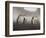 Chinstrap Penguin. Whaler's Bay, Deception Island. Antarctica.-Tom Norring-Framed Photographic Print