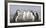 Chinstrap Penguin. Whaler's Bay, Deception Island. Antarctica.-Tom Norring-Framed Photographic Print