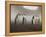 Chinstrap Penguin. Whaler's Bay, Deception Island. Antarctica.-Tom Norring-Framed Premier Image Canvas