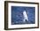 Chinstrap Penguin-DLILLC-Framed Photographic Print