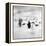 Chinstrap Penguins, Antarctica-Paul Souders-Framed Premier Image Canvas