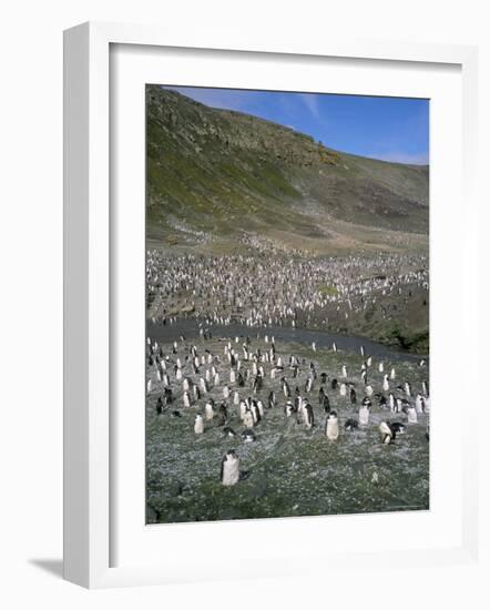 Chinstrap Penguins at Baily Head, Deception Island, Antarctica, Polar Regions-Geoff Renner-Framed Photographic Print