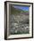 Chinstrap Penguins at Baily Head, Deception Island, Antarctica, Polar Regions-Geoff Renner-Framed Photographic Print