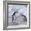 Chinstrap Penguins on ice, South Orkney Islands, Antarctica-Keren Su-Framed Photographic Print