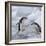 Chinstrap Penguins on ice, South Orkney Islands, Antarctica-Keren Su-Framed Photographic Print