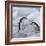 Chinstrap Penguins on ice, South Orkney Islands, Antarctica-Keren Su-Framed Photographic Print