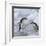 Chinstrap Penguins on ice, South Orkney Islands, Antarctica-Keren Su-Framed Photographic Print