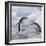 Chinstrap Penguins on ice, South Orkney Islands, Antarctica-Keren Su-Framed Photographic Print