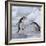 Chinstrap Penguins on ice, South Orkney Islands, Antarctica-Keren Su-Framed Photographic Print