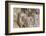 Chipmunk-Gary Carter-Framed Photographic Print