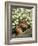 Chipmunk-null-Framed Photographic Print