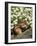 Chipmunk-null-Framed Photographic Print