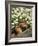 Chipmunk-null-Framed Photographic Print