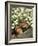 Chipmunk-null-Framed Photographic Print