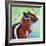 Chipmunk-Corina St. Martin-Framed Giclee Print