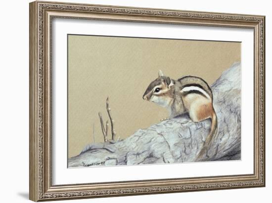 Chipmunk-Rusty Frentner-Framed Giclee Print