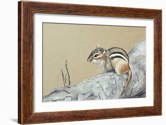 Chipmunk-Rusty Frentner-Framed Giclee Print