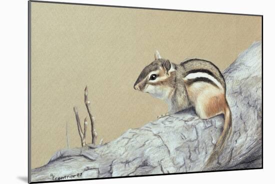 Chipmunk-Rusty Frentner-Mounted Giclee Print