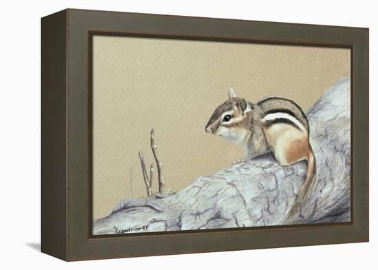 Chipmunk-Rusty Frentner-Framed Premier Image Canvas