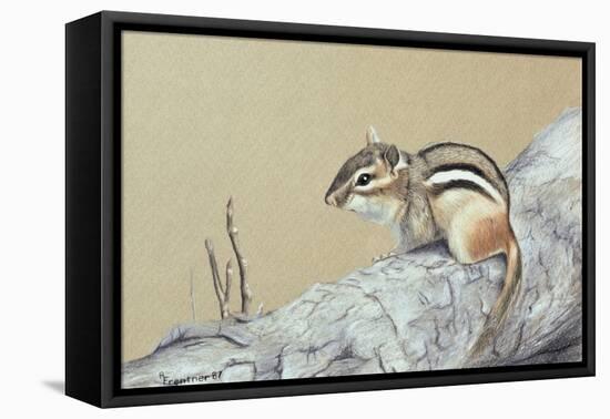 Chipmunk-Rusty Frentner-Framed Premier Image Canvas