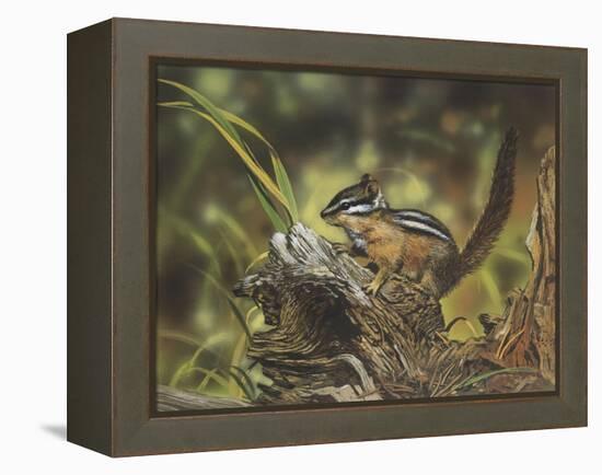 Chipmunk-William Vanderdasson-Framed Premier Image Canvas