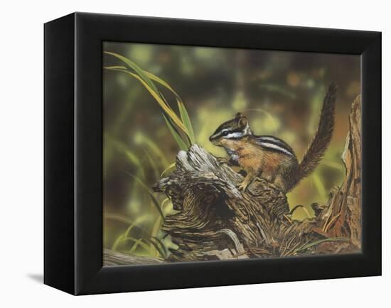 Chipmunk-William Vanderdasson-Framed Premier Image Canvas