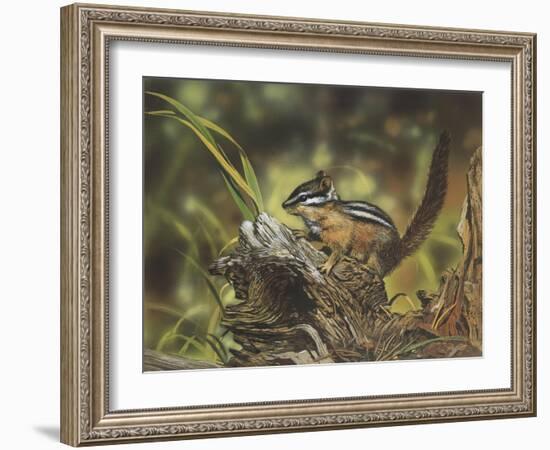 Chipmunk-William Vanderdasson-Framed Giclee Print