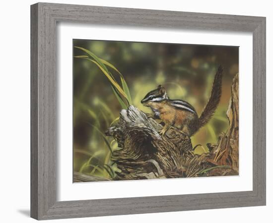 Chipmunk-William Vanderdasson-Framed Giclee Print