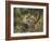 Chipmunk-William Vanderdasson-Framed Giclee Print