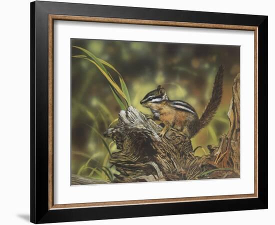 Chipmunk-William Vanderdasson-Framed Giclee Print