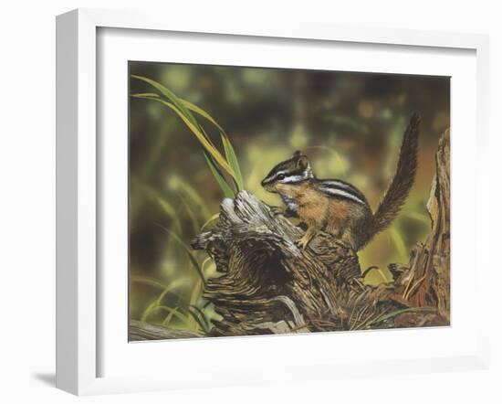 Chipmunk-William Vanderdasson-Framed Giclee Print