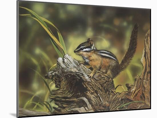 Chipmunk-William Vanderdasson-Mounted Giclee Print