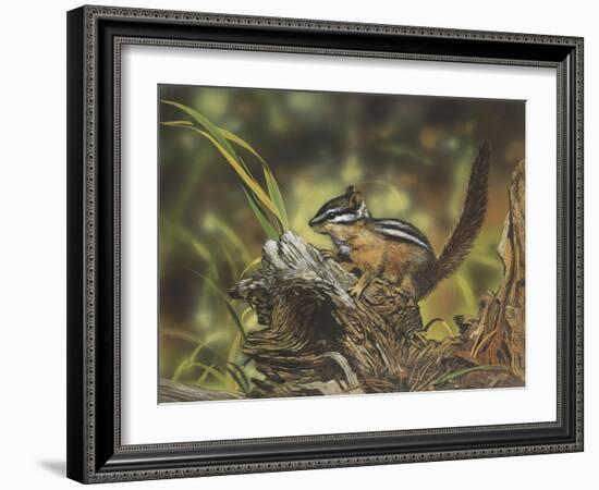 Chipmunk-William Vanderdasson-Framed Giclee Print